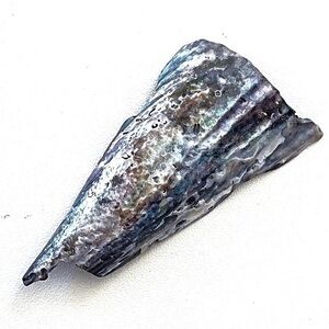 A Gift of Florida! Iridescent Pen/Abolone/Rainbow Seashell!